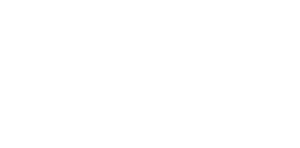 DreamTeam-white-logo-1